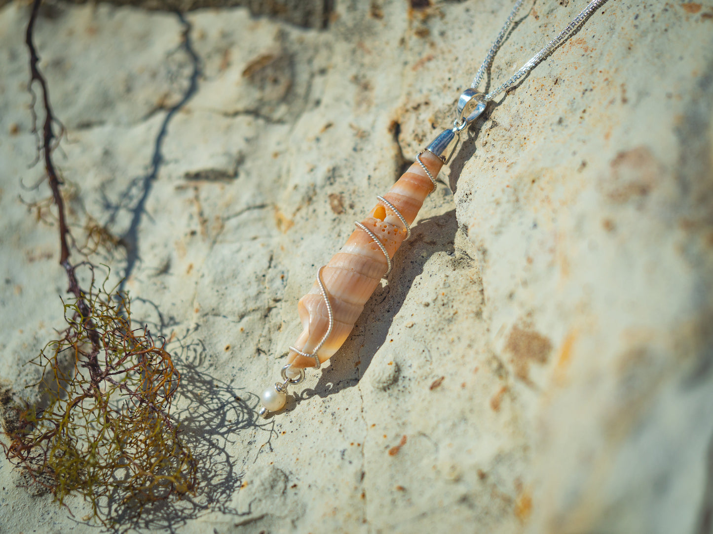 Unique Seashell & Culture pearl pendant necklace